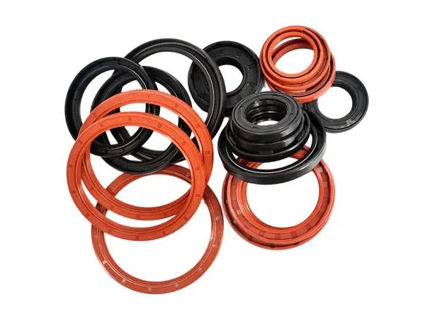 Spring Loaded Double Lip Oil Seal