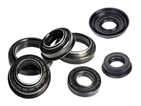 Doduble Lip Seal vs Single Lip Seal